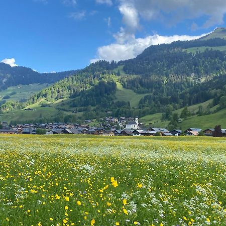 Haus Diedams Schoppernau Buitenkant foto
