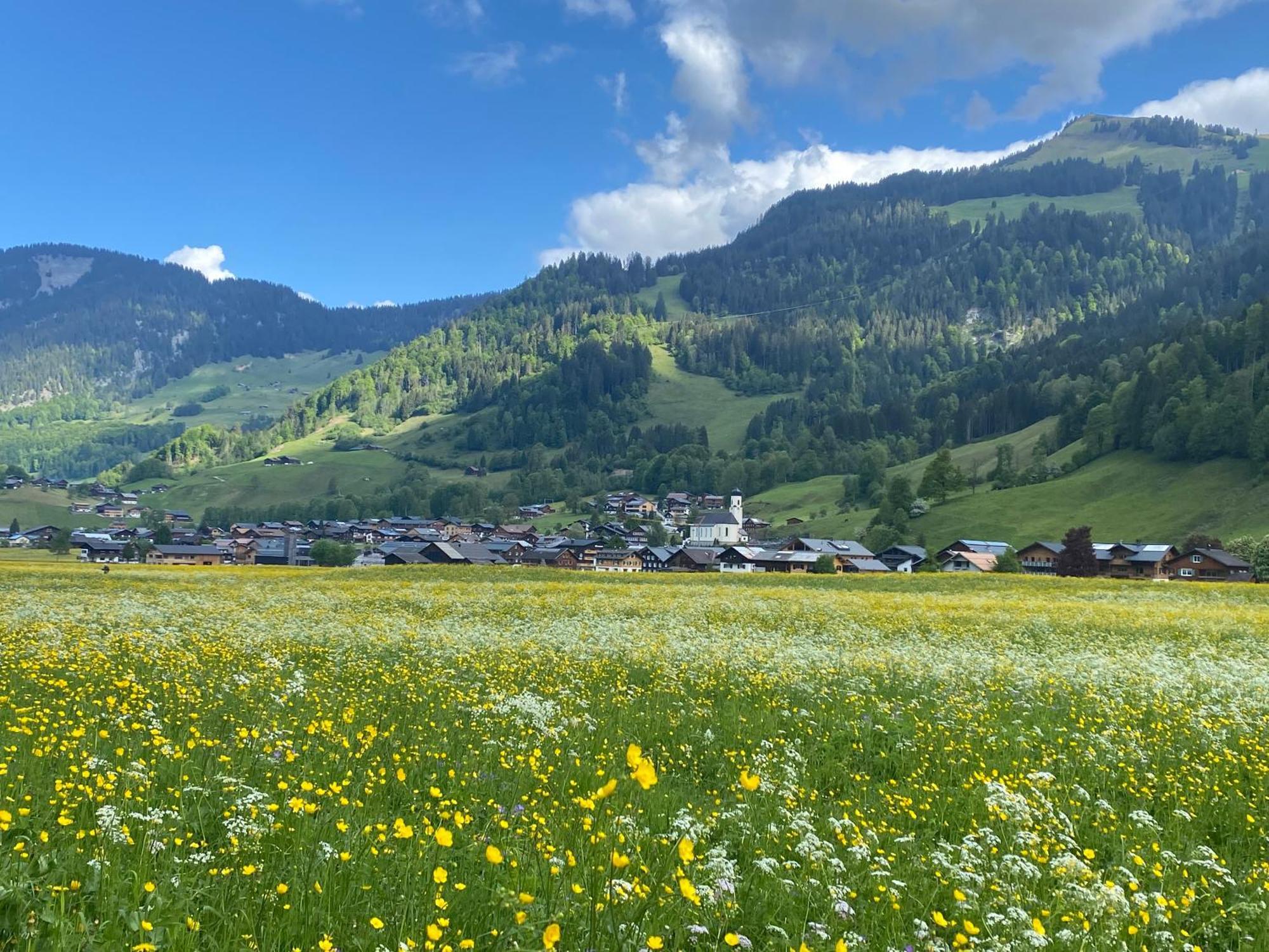 Haus Diedams Schoppernau Buitenkant foto