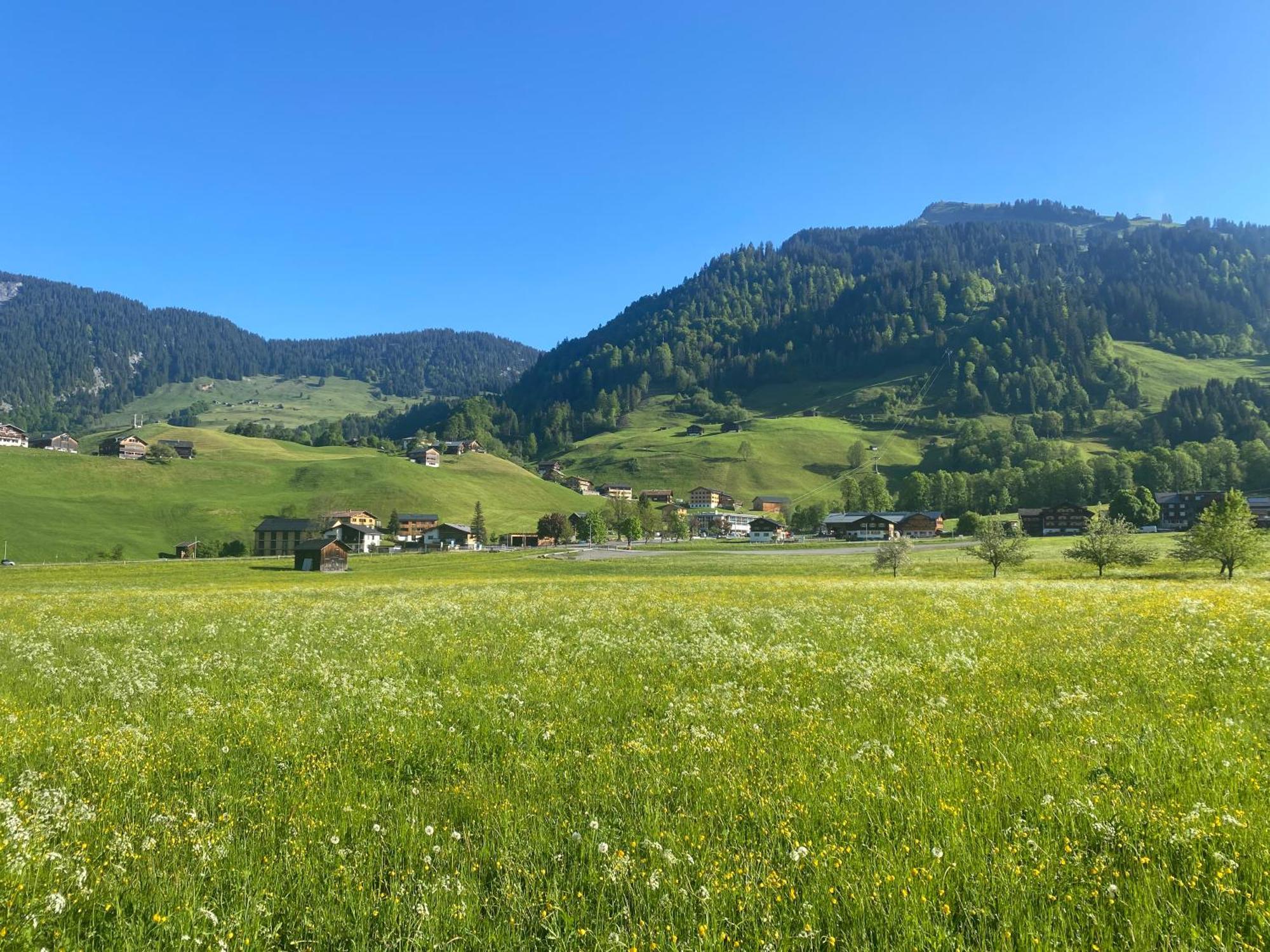 Haus Diedams Schoppernau Buitenkant foto