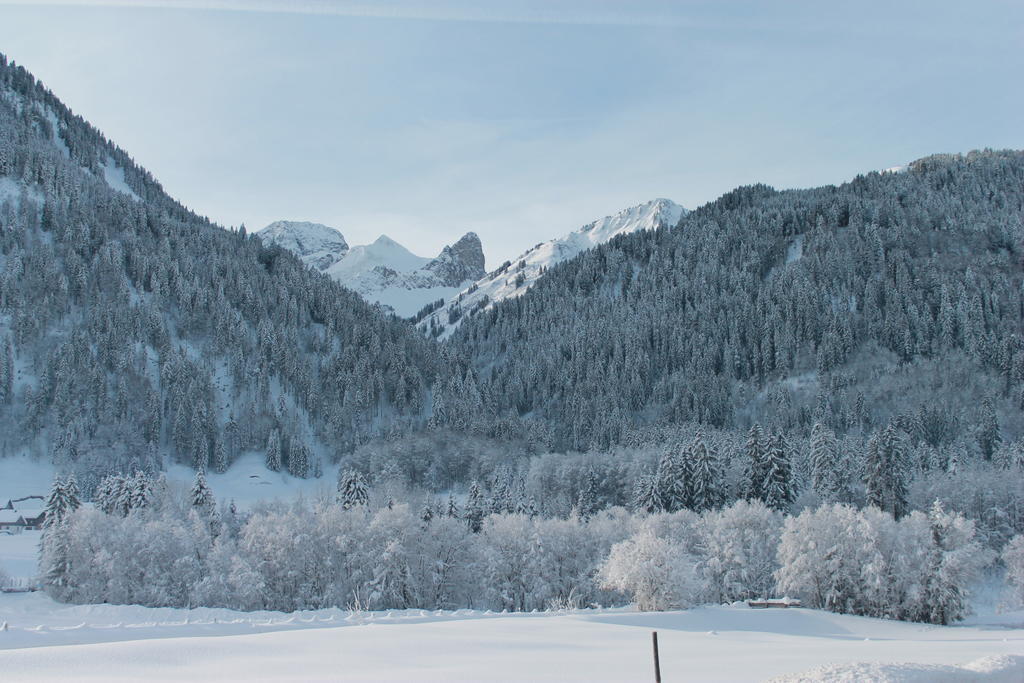 Haus Diedams Schoppernau Buitenkant foto