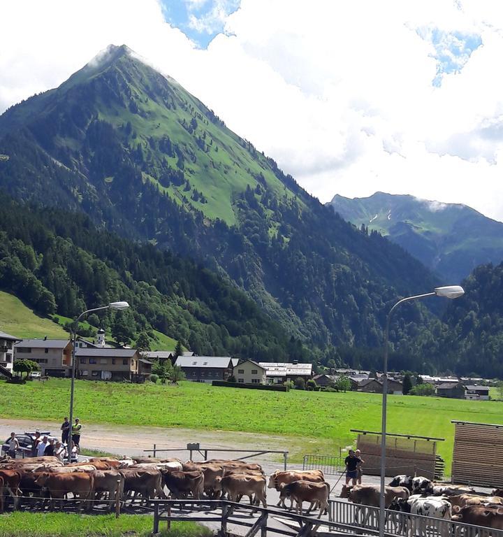 Haus Diedams Schoppernau Buitenkant foto