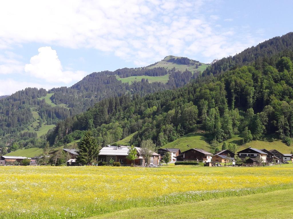 Haus Diedams Schoppernau Buitenkant foto
